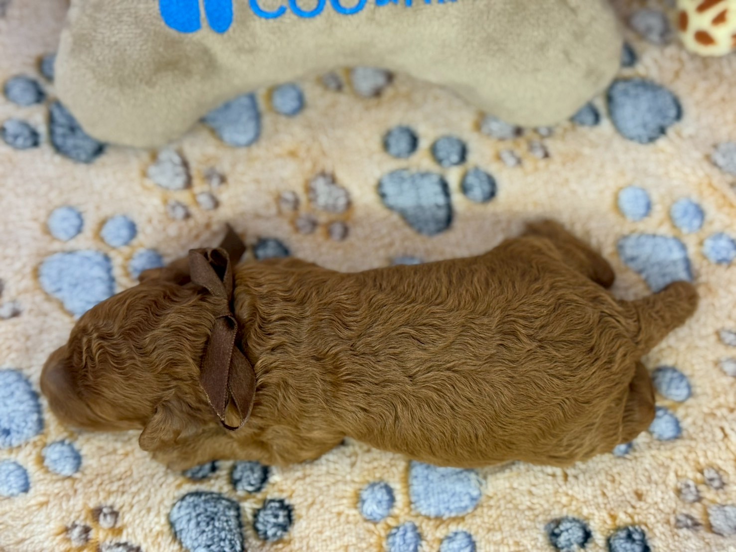 赤ちゃん写真1-3