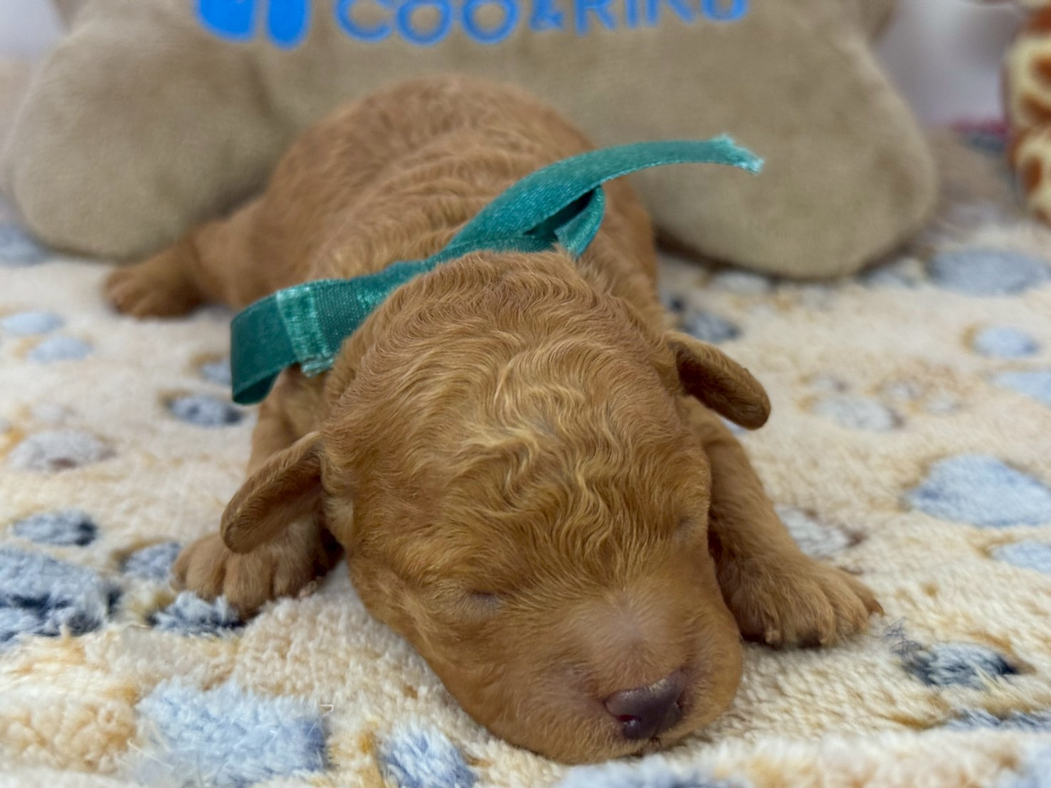 赤ちゃん写真1-1