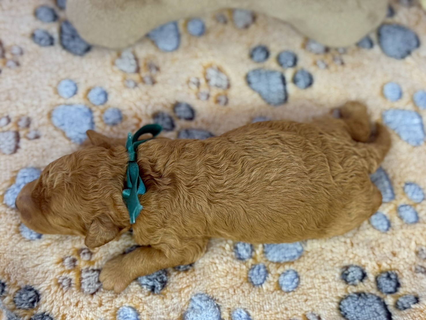 赤ちゃん写真1-3