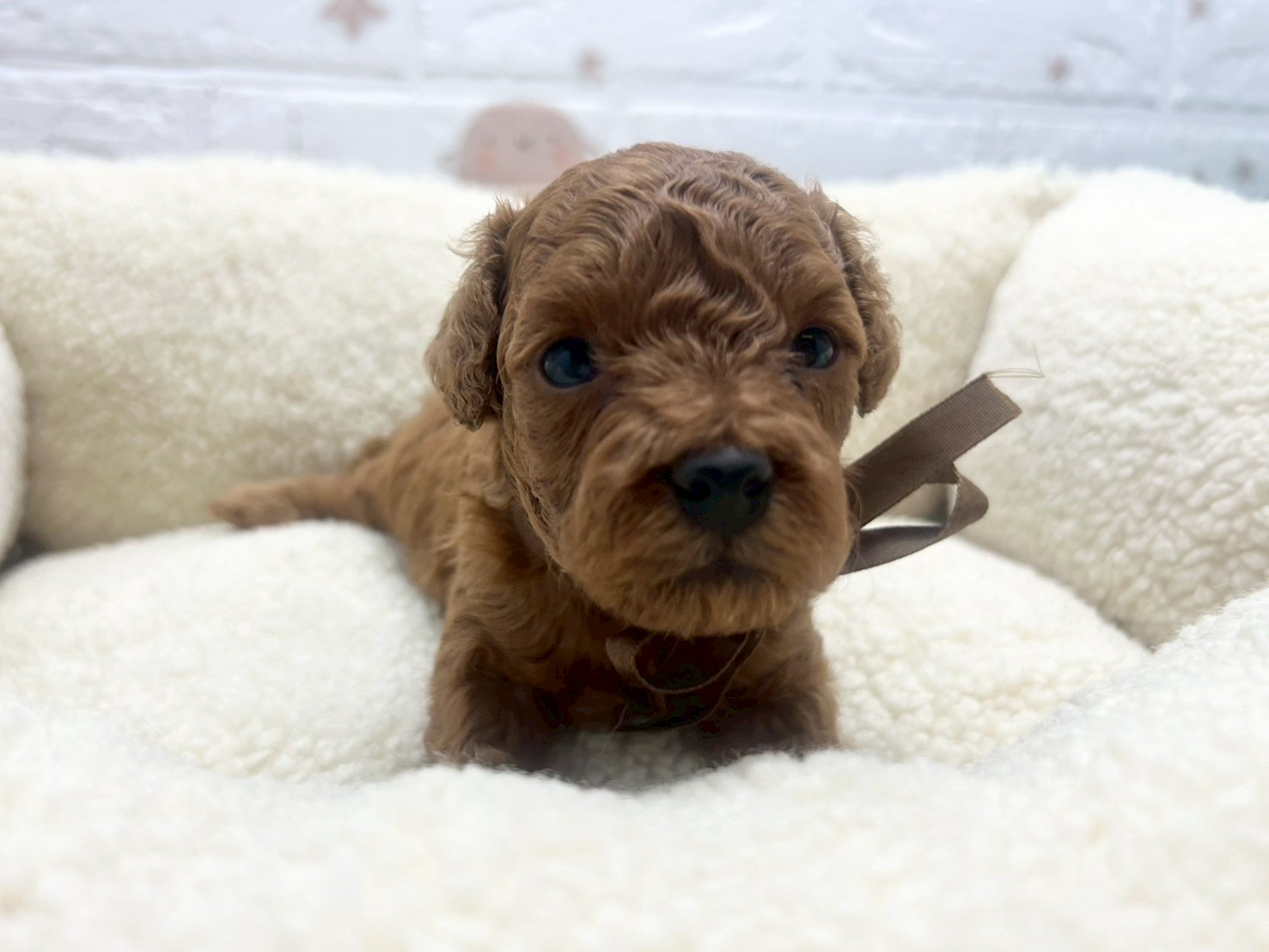 赤ちゃん写真2-1