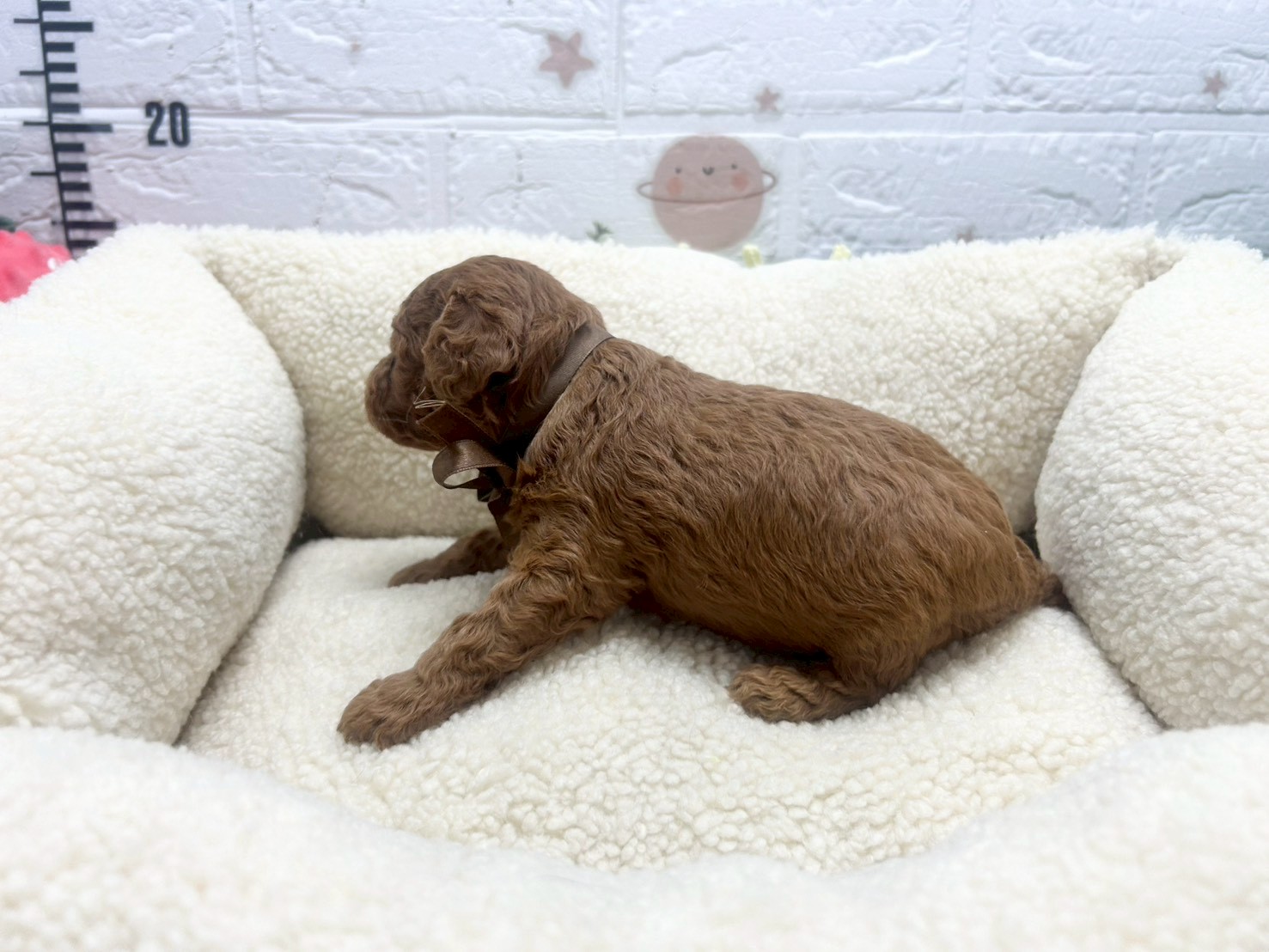 赤ちゃん写真2-2