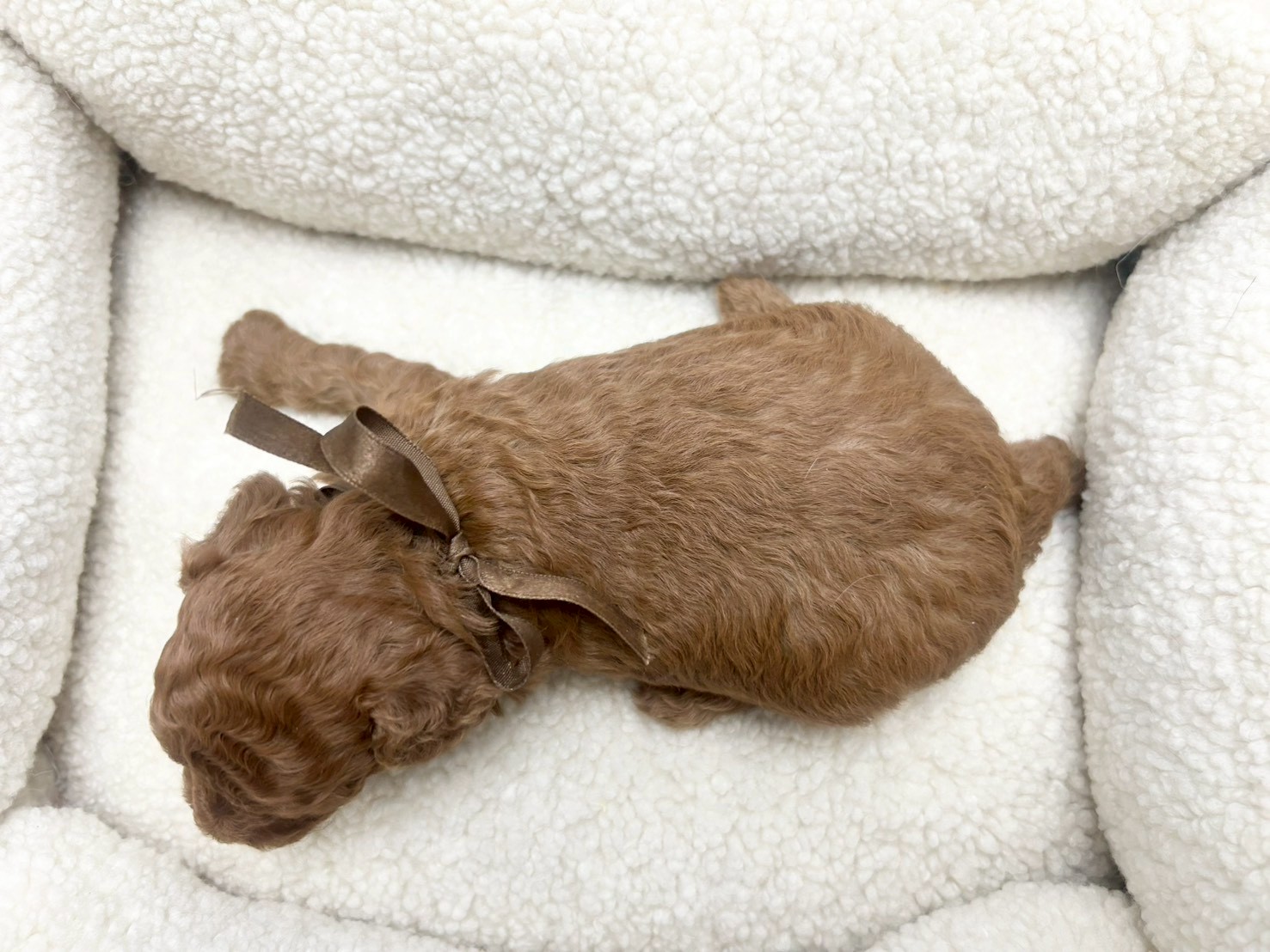 赤ちゃん写真2-3