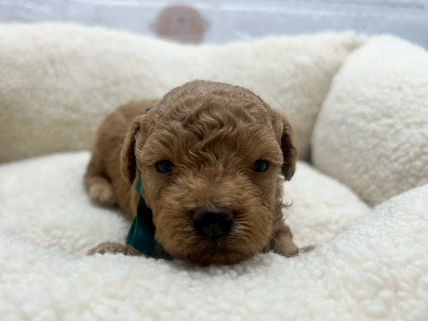 赤ちゃん写真2-1