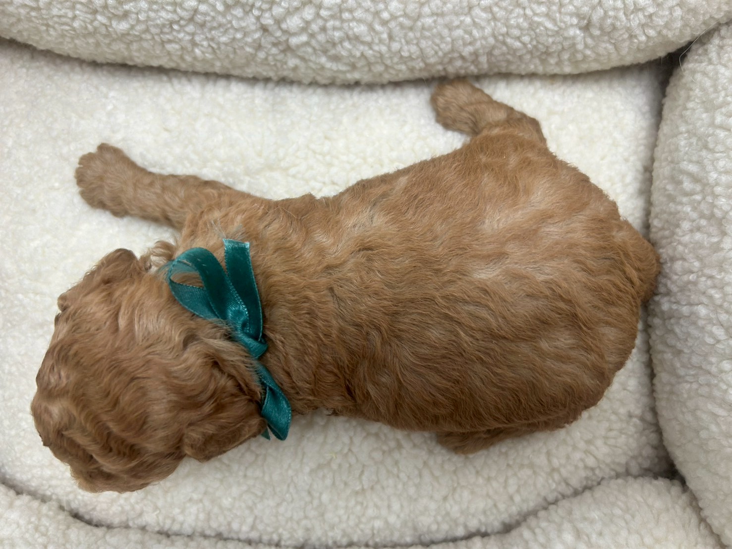 赤ちゃん写真2-2