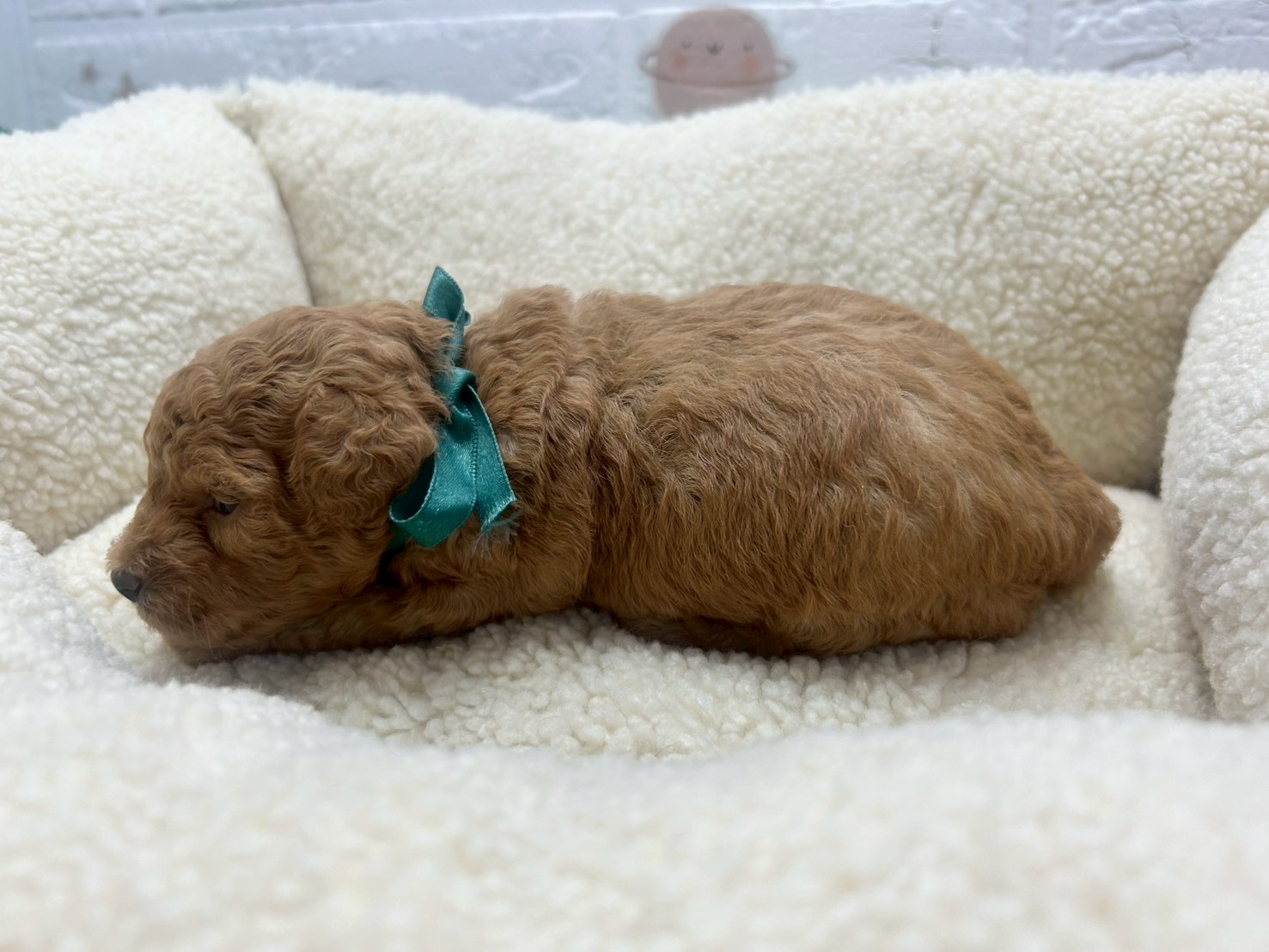 赤ちゃん写真2-3