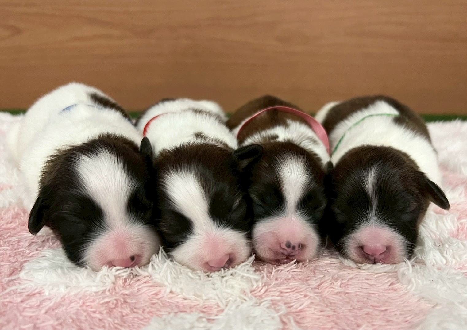 赤ちゃん写真1-3