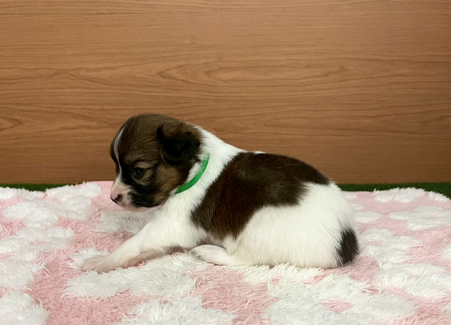 赤ちゃん写真2-2