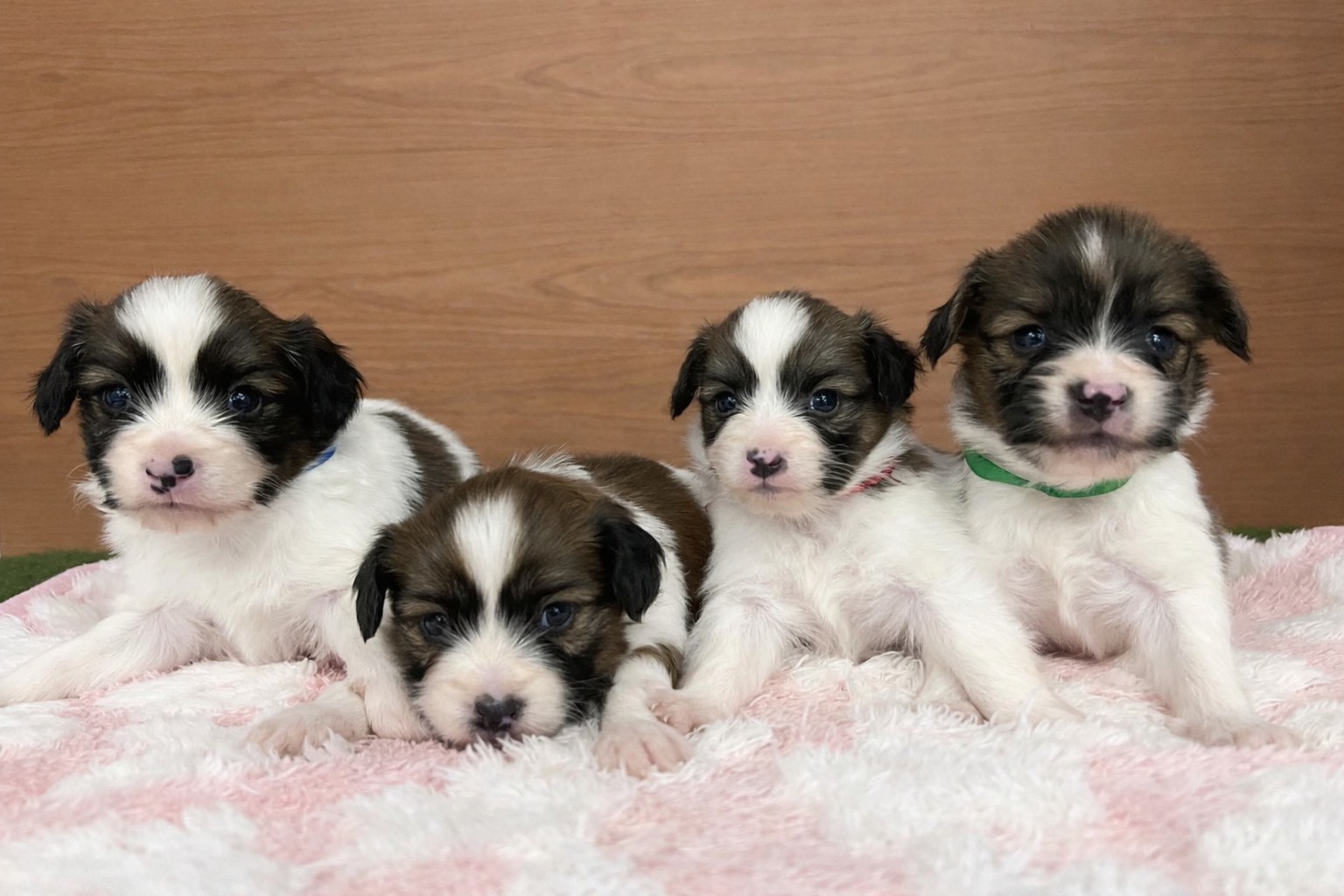 赤ちゃん写真2-3