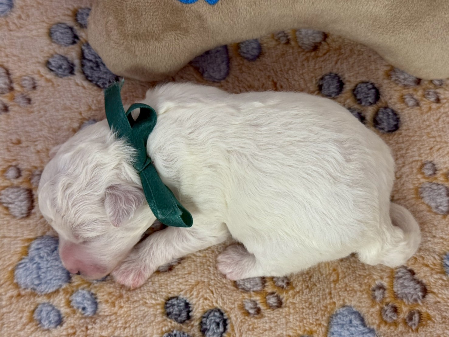 赤ちゃん写真1-3