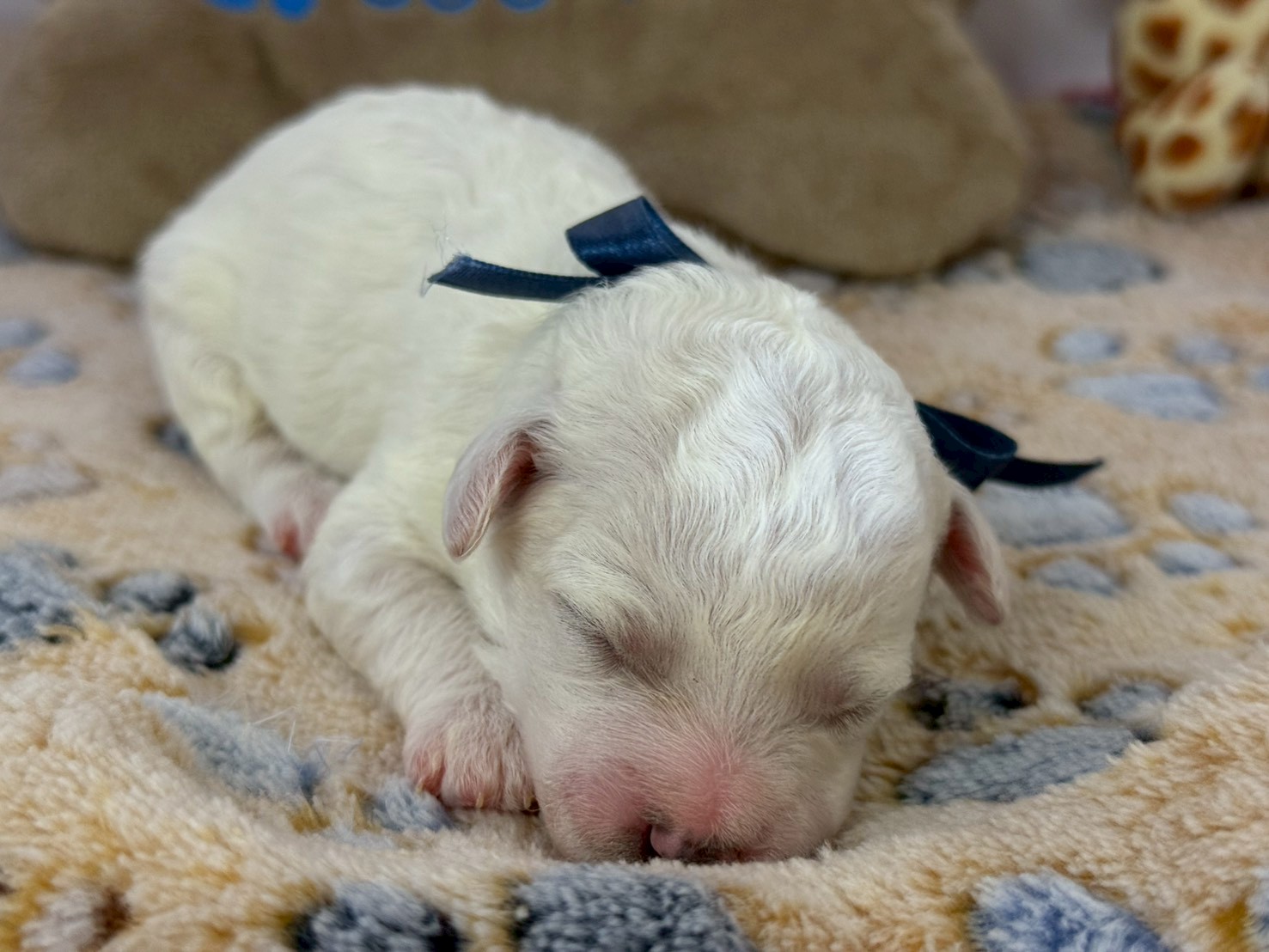 赤ちゃん写真1-1