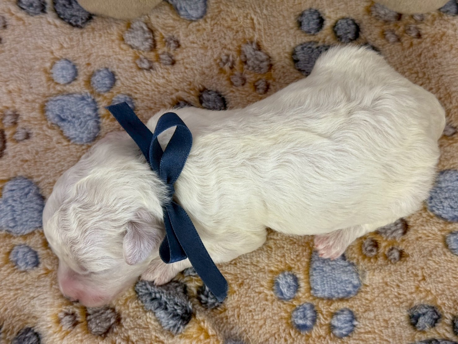 赤ちゃん写真1-3