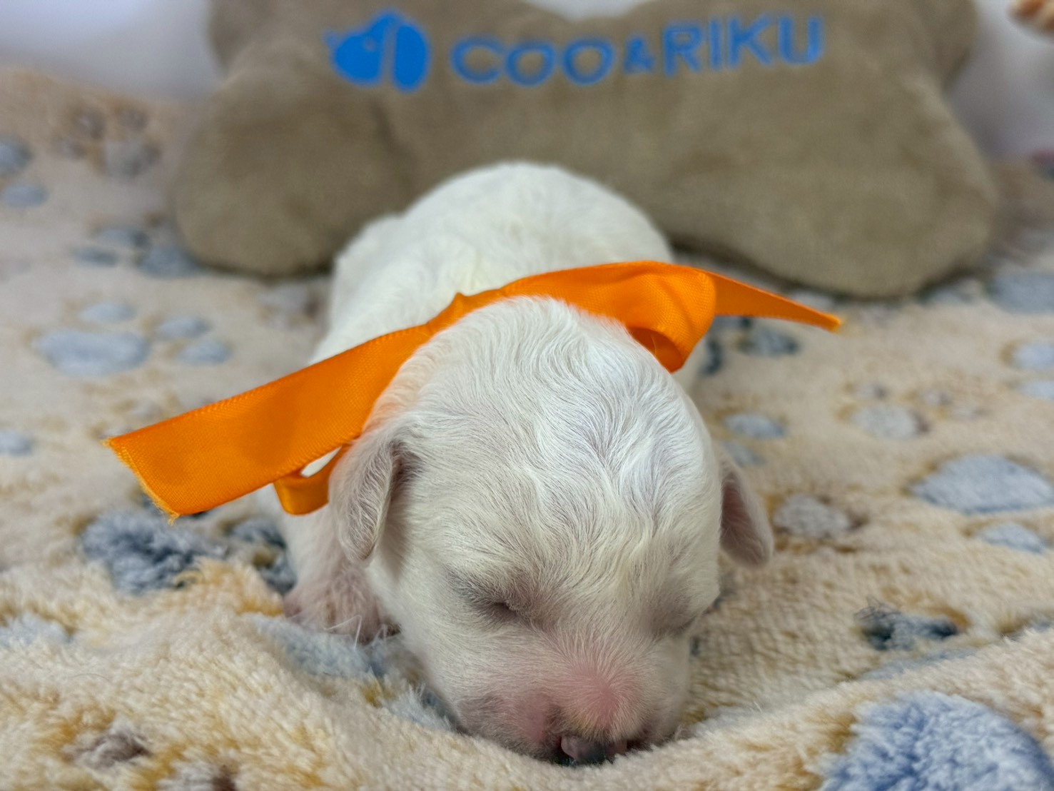 赤ちゃん写真1-1