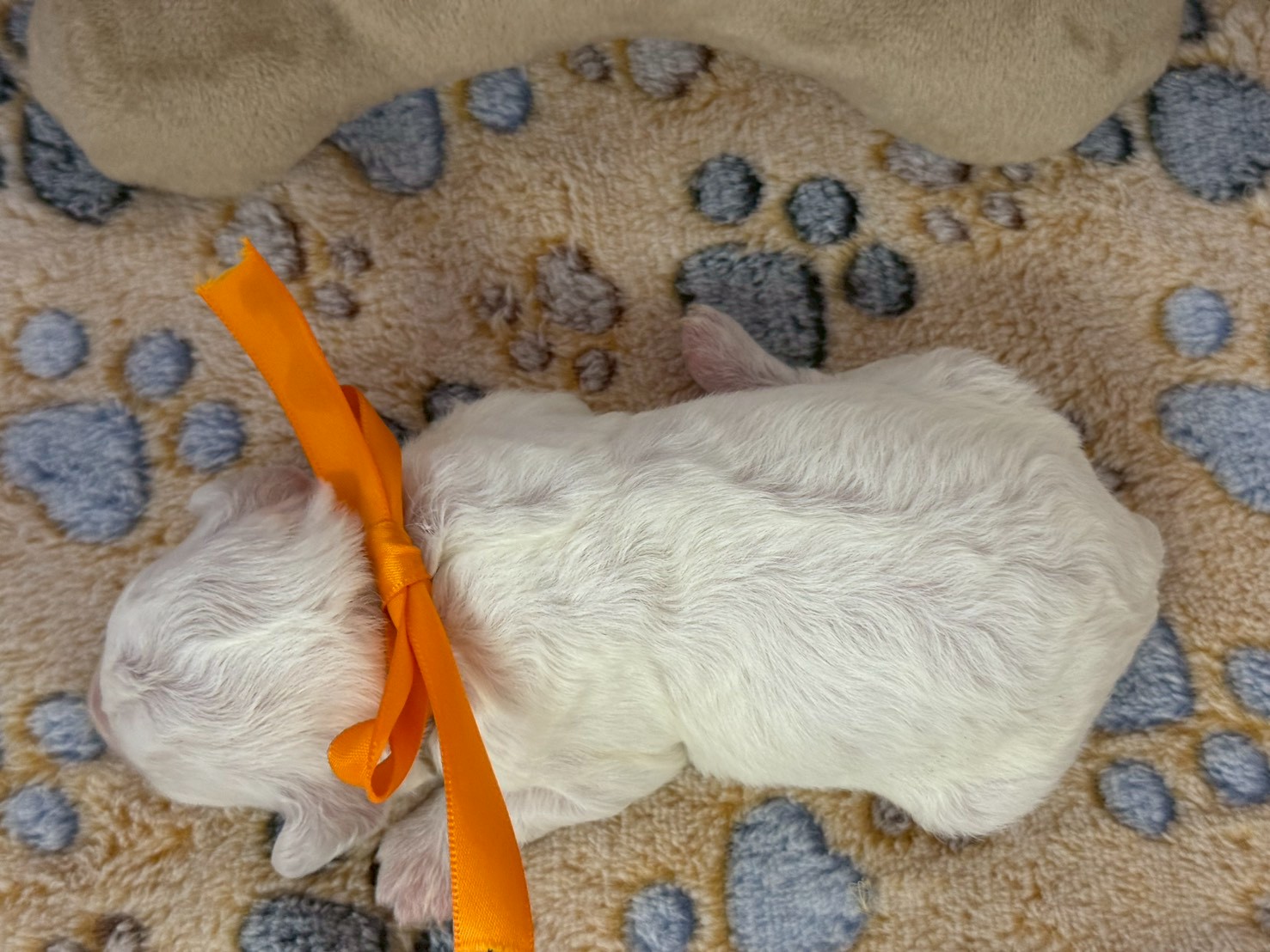 赤ちゃん写真1-3