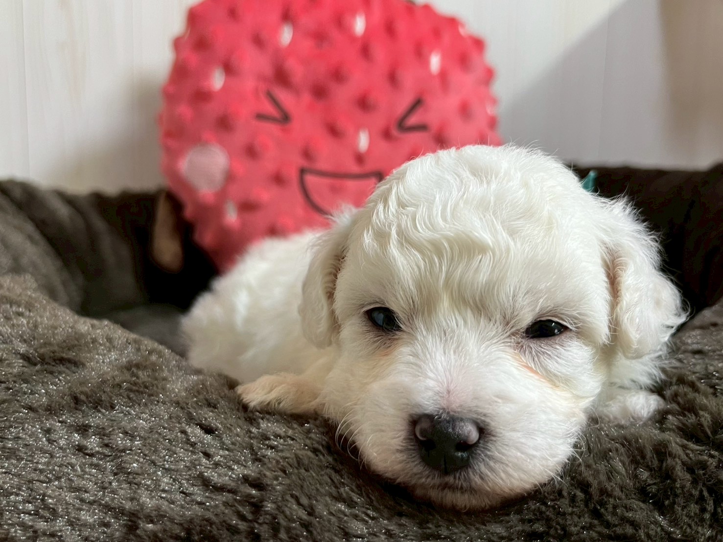 赤ちゃん写真2-1