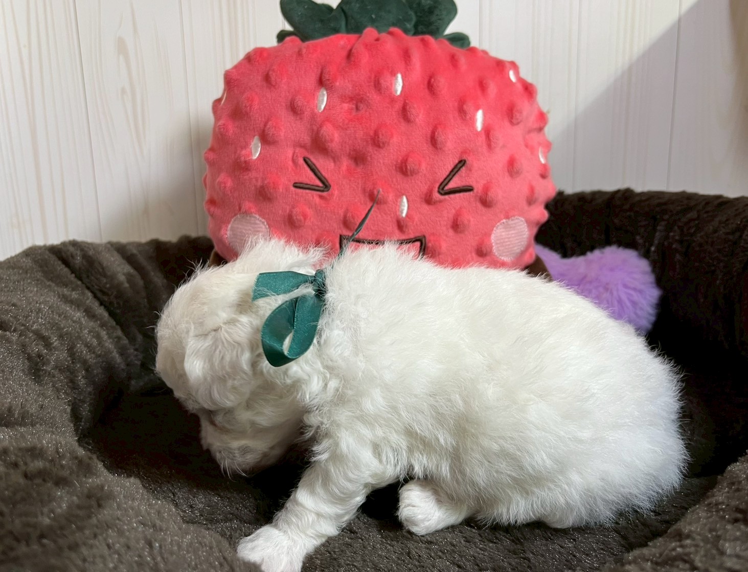 赤ちゃん写真2-2