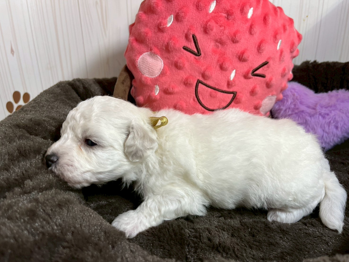 赤ちゃん写真2-2