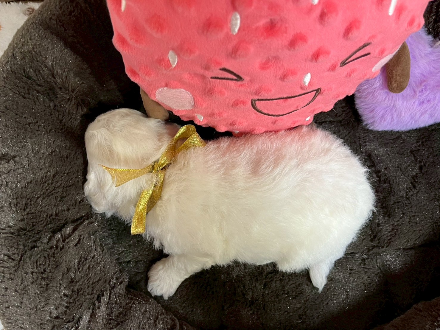 赤ちゃん写真2-3