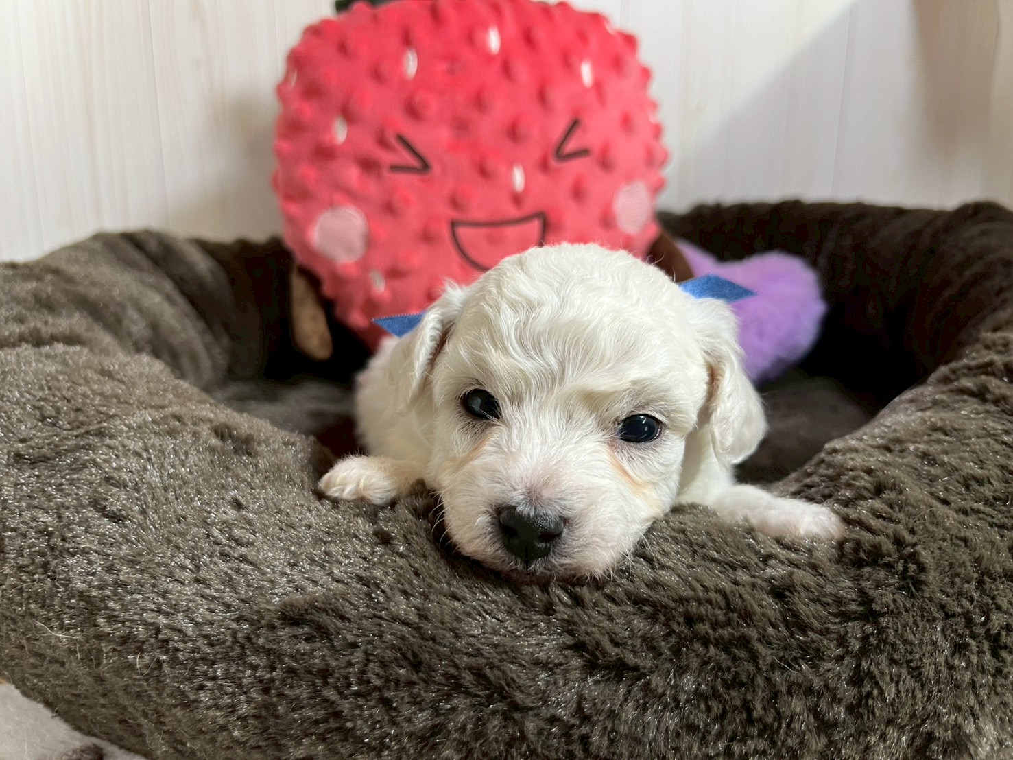 赤ちゃん写真2-1