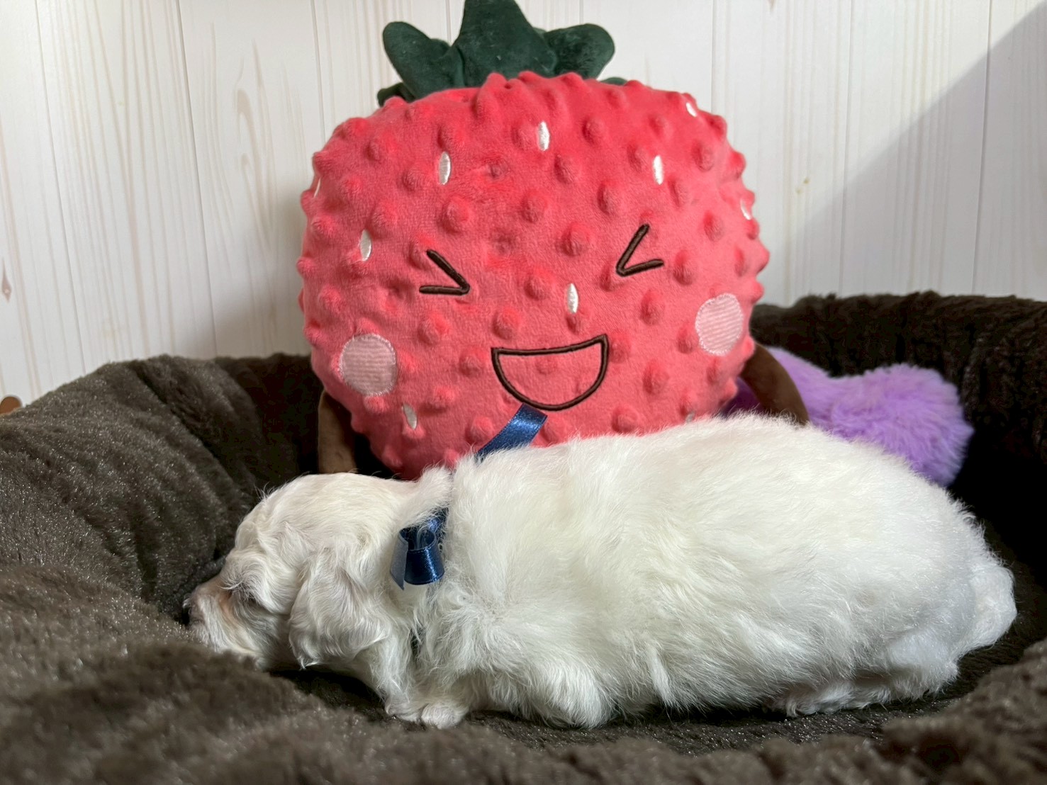 赤ちゃん写真2-2