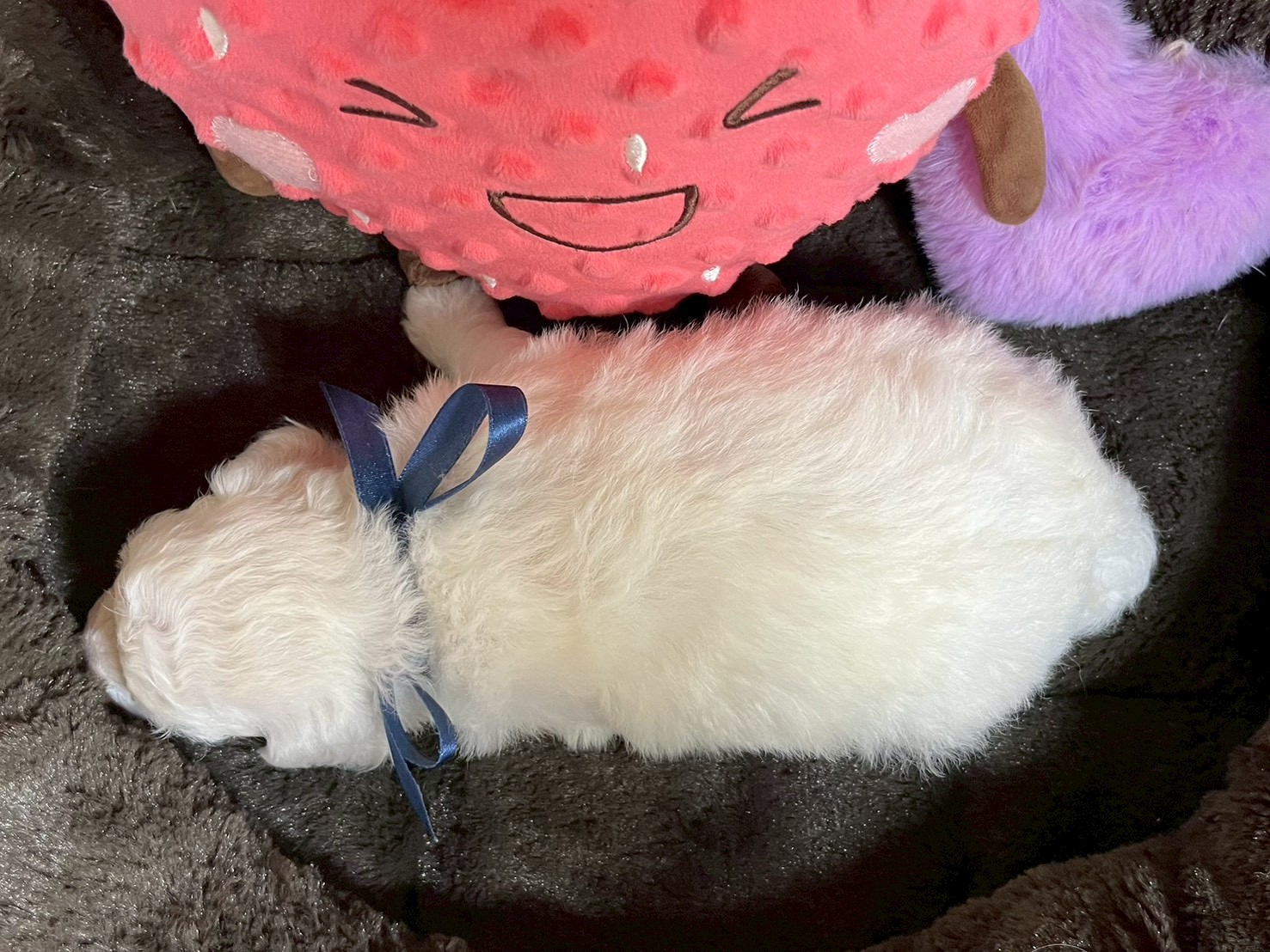 赤ちゃん写真2-3