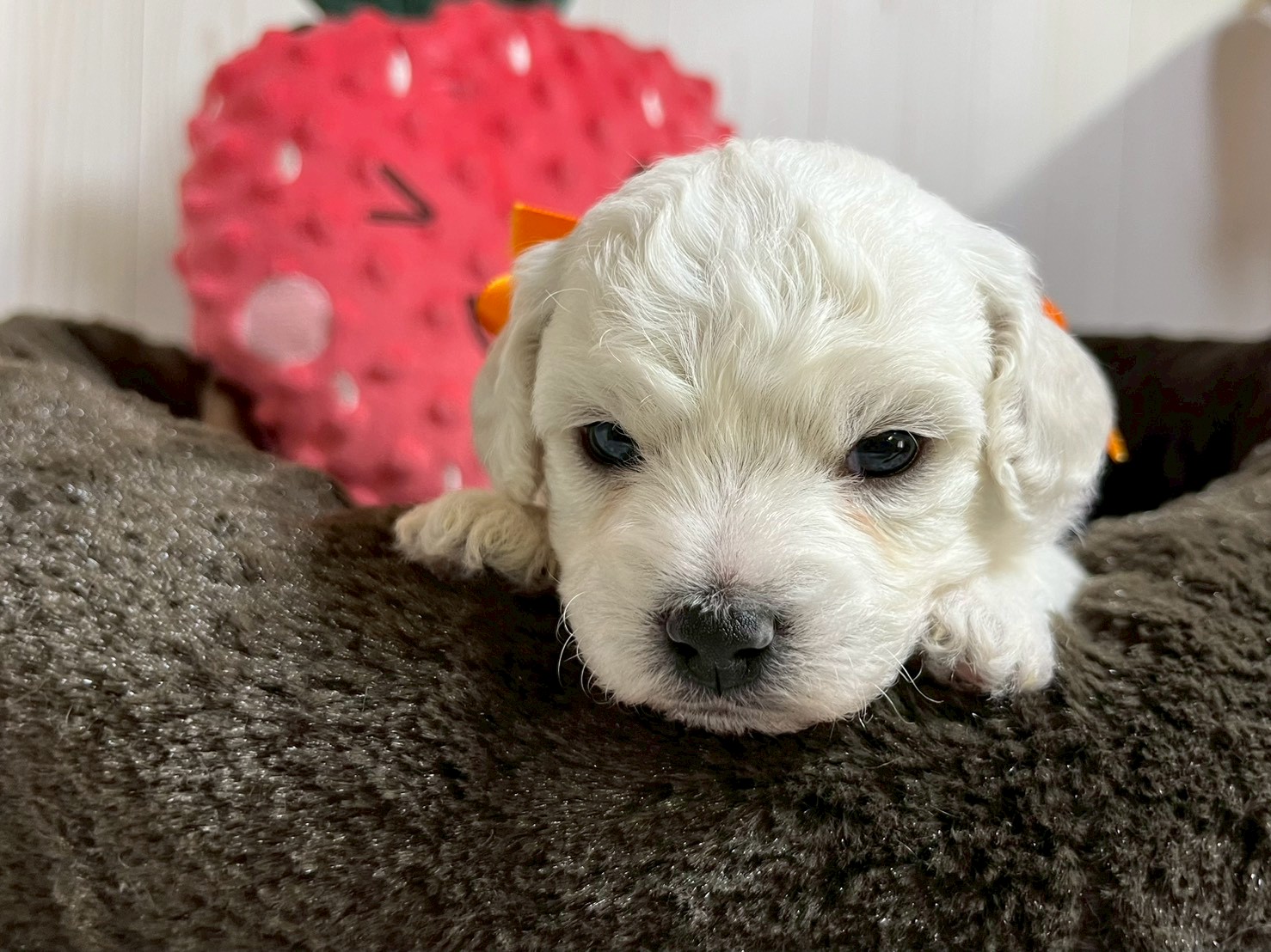 赤ちゃん写真2-1