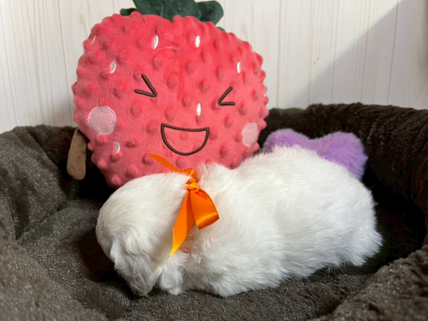 赤ちゃん写真2-2