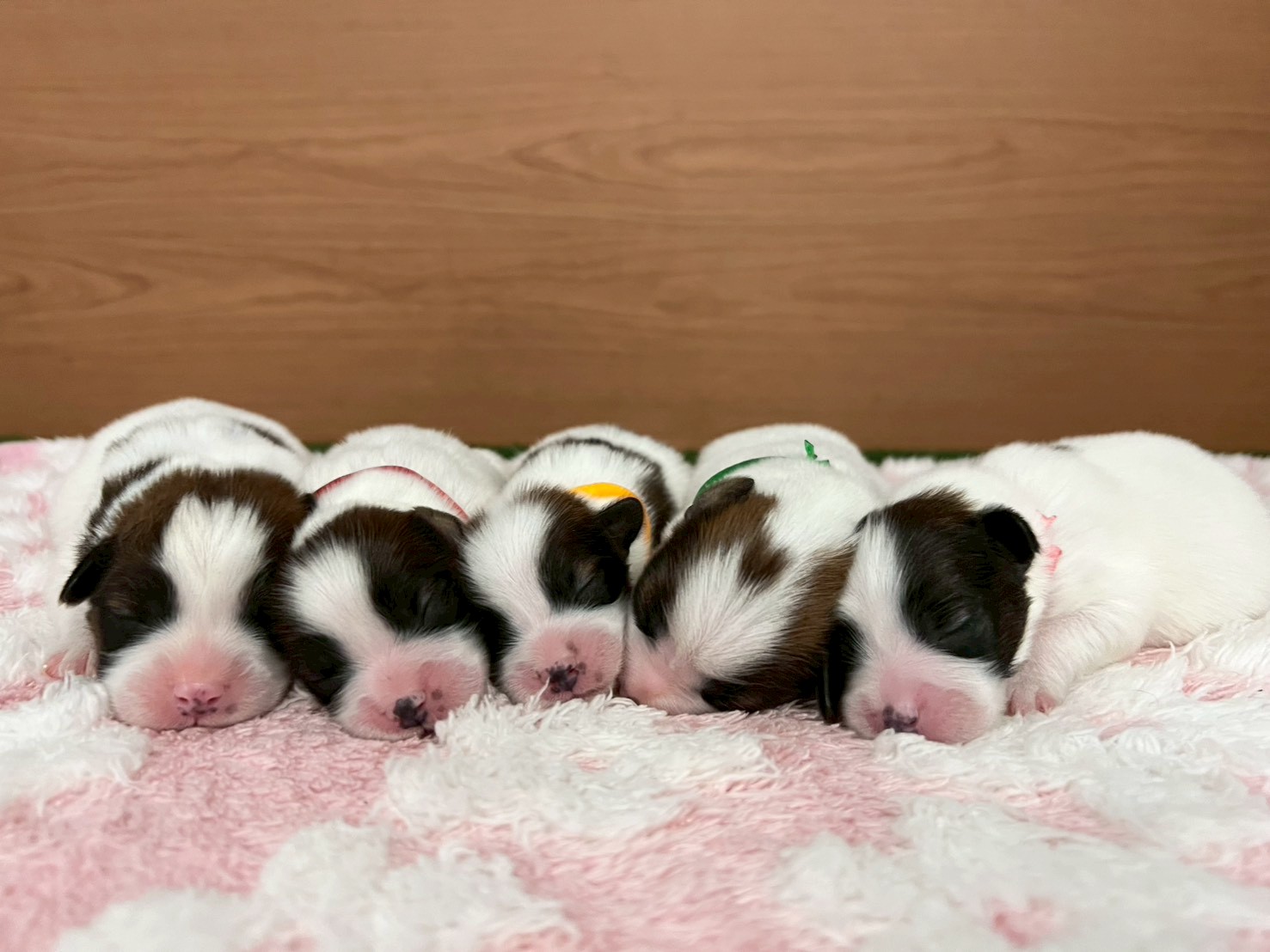 赤ちゃん写真1-3