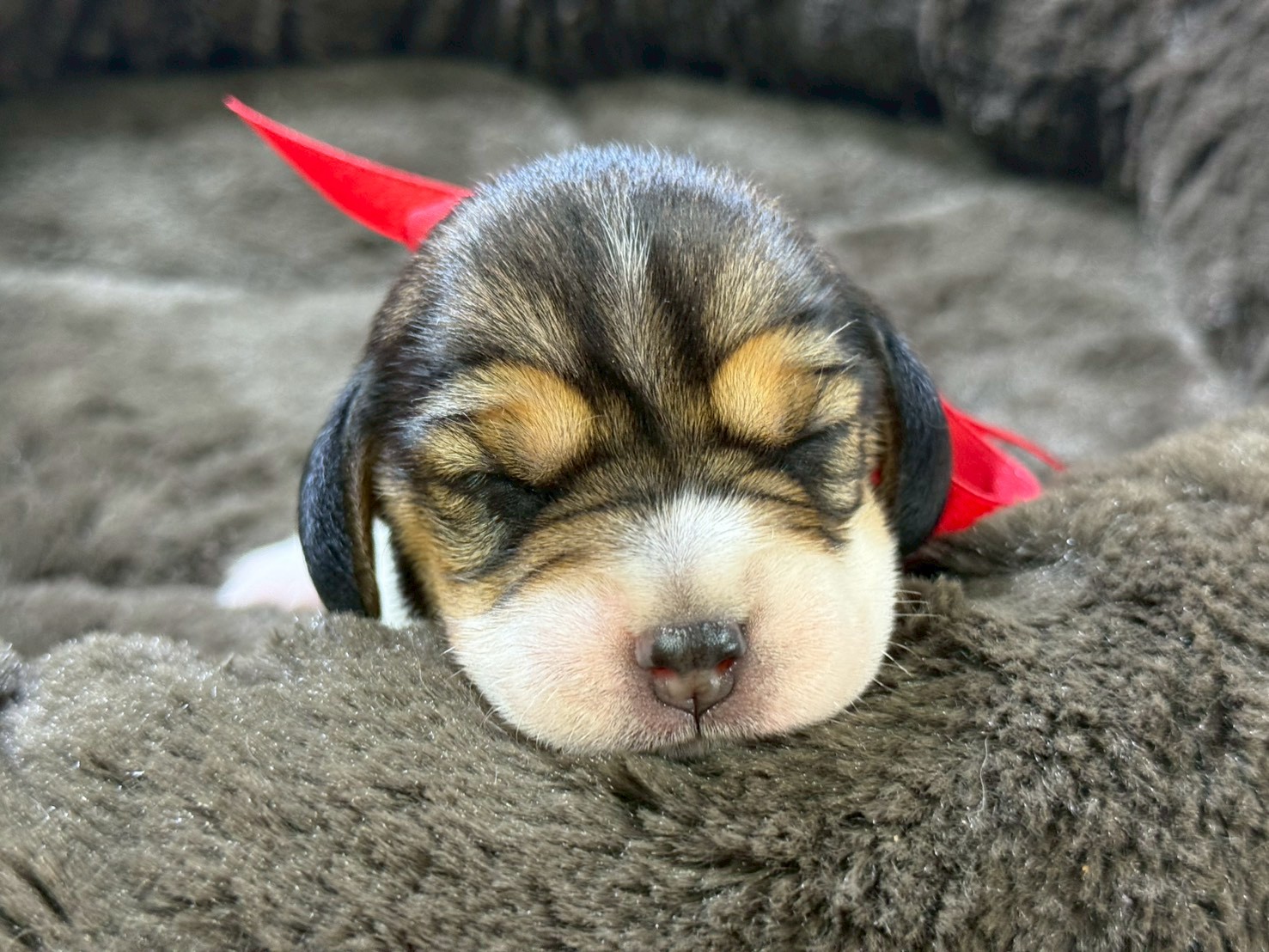 赤ちゃん写真1-1