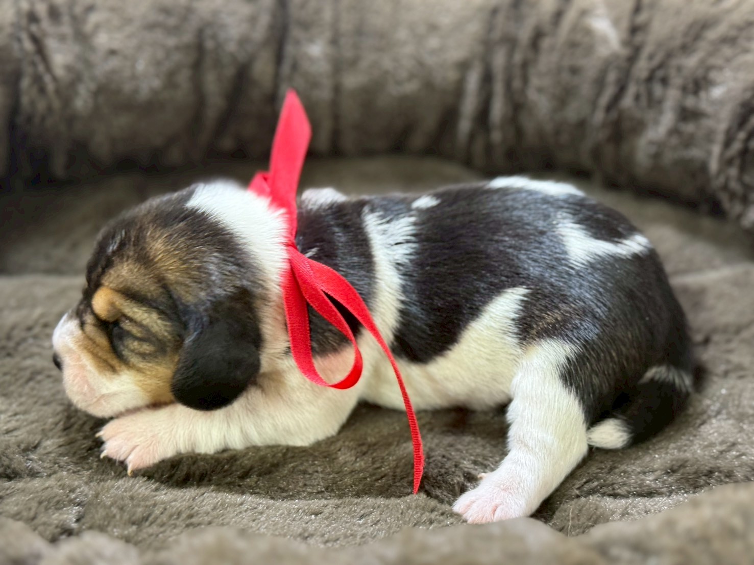 赤ちゃん写真1-2