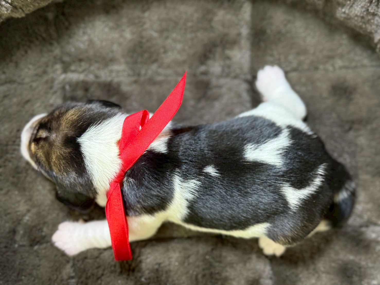 赤ちゃん写真1-3