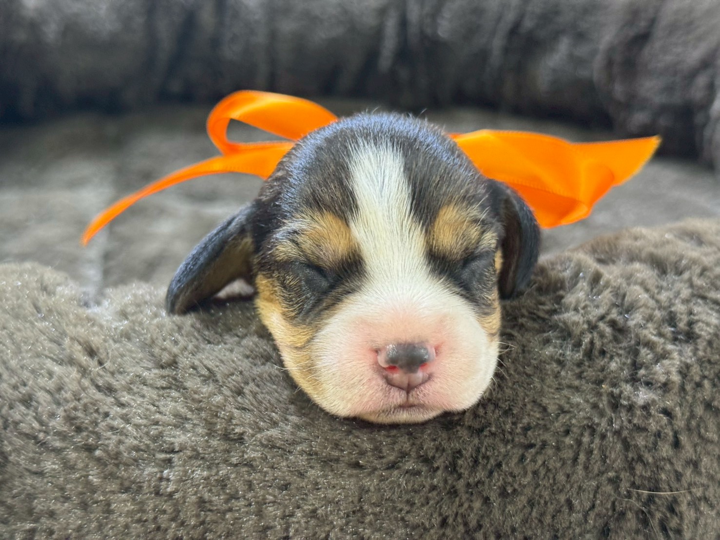 赤ちゃん写真1-1