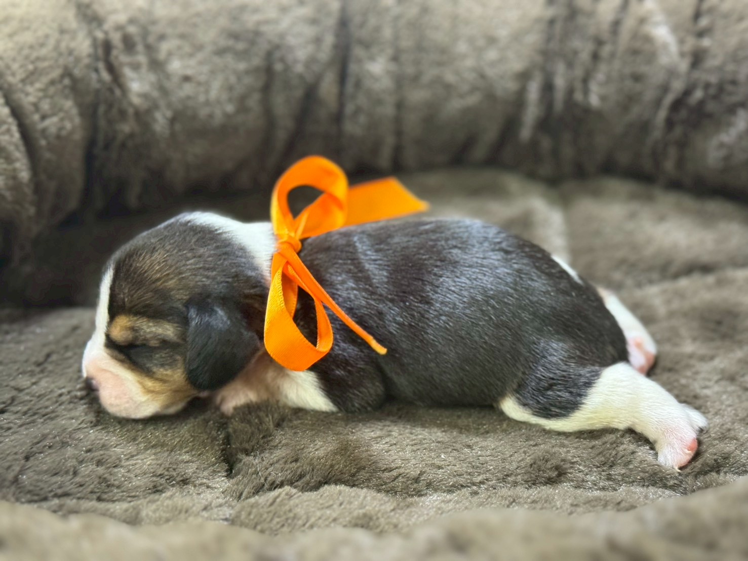 赤ちゃん写真1-2