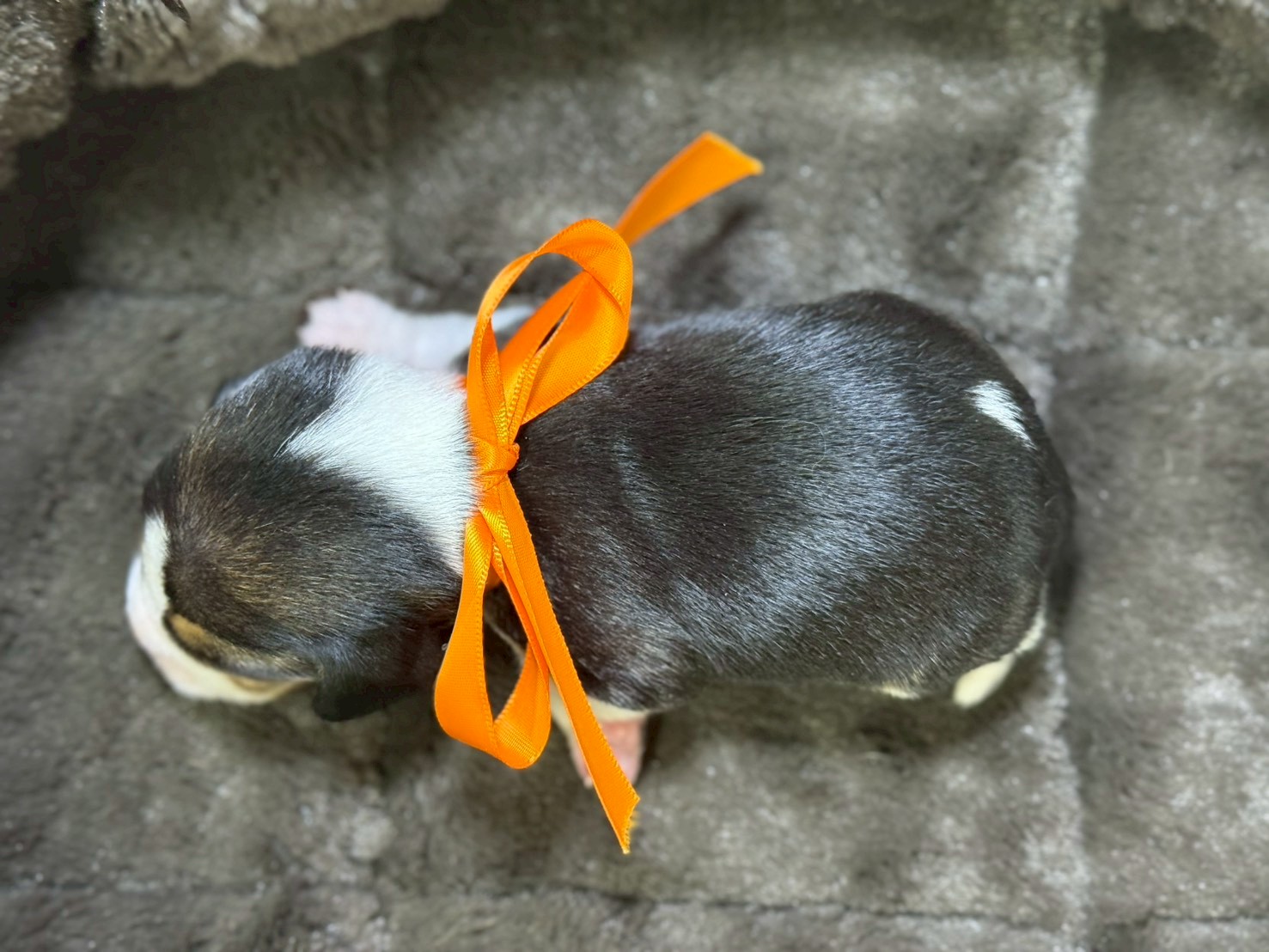 赤ちゃん写真1-3