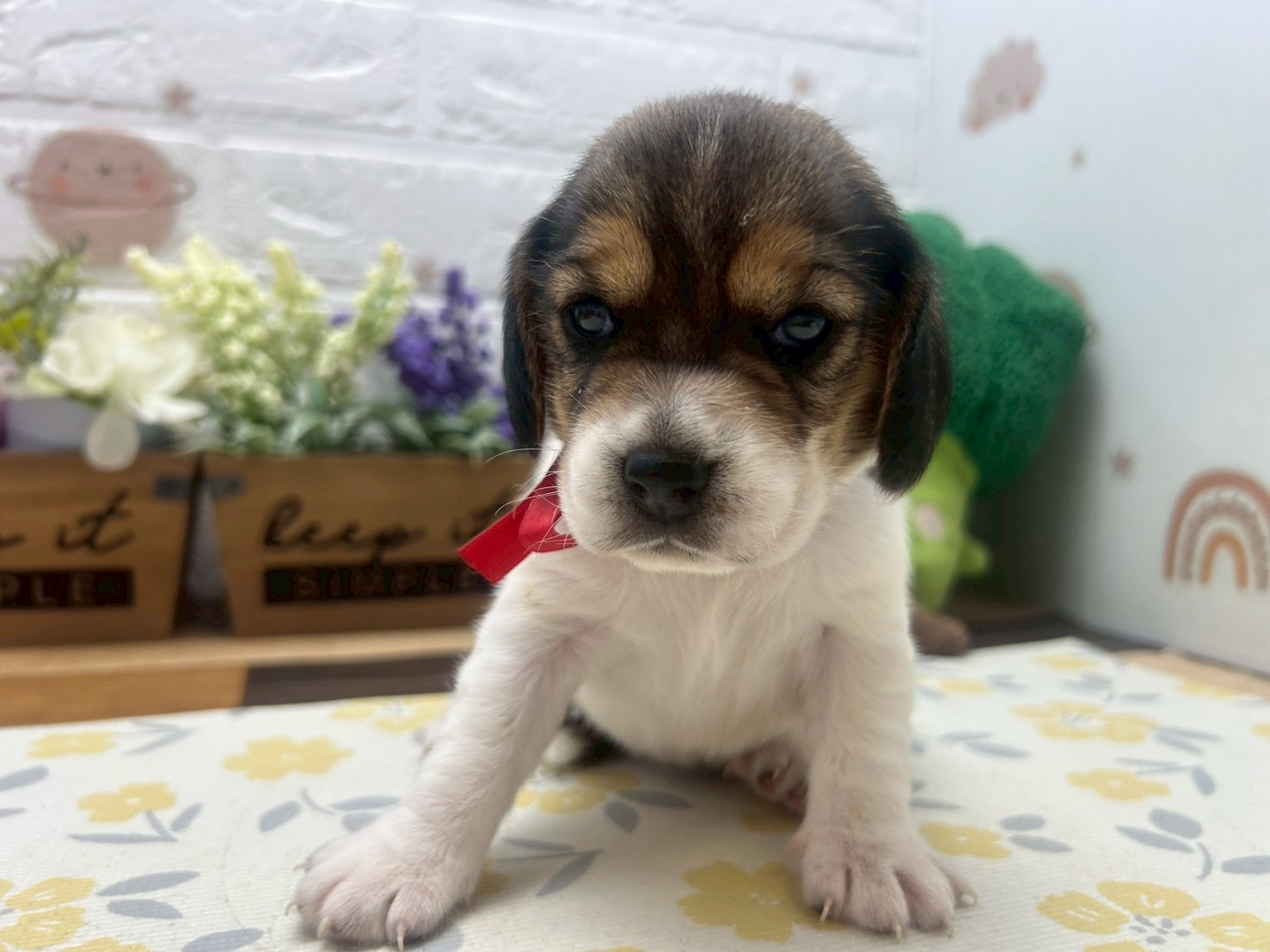 赤ちゃん写真2-1