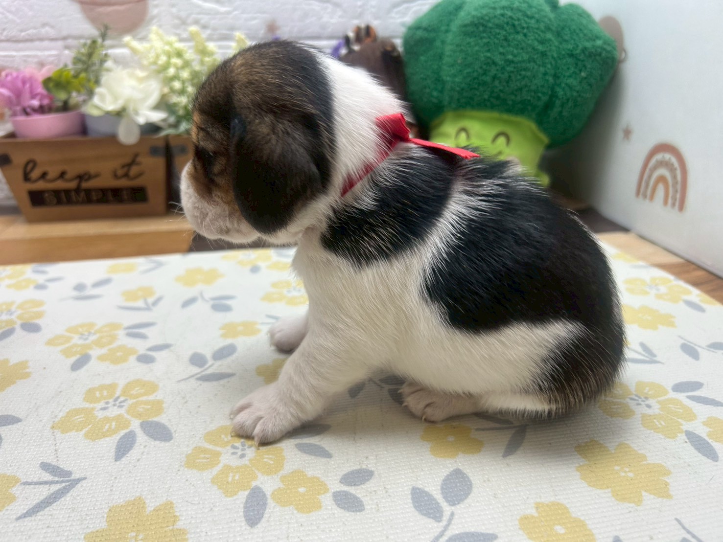 赤ちゃん写真2-2