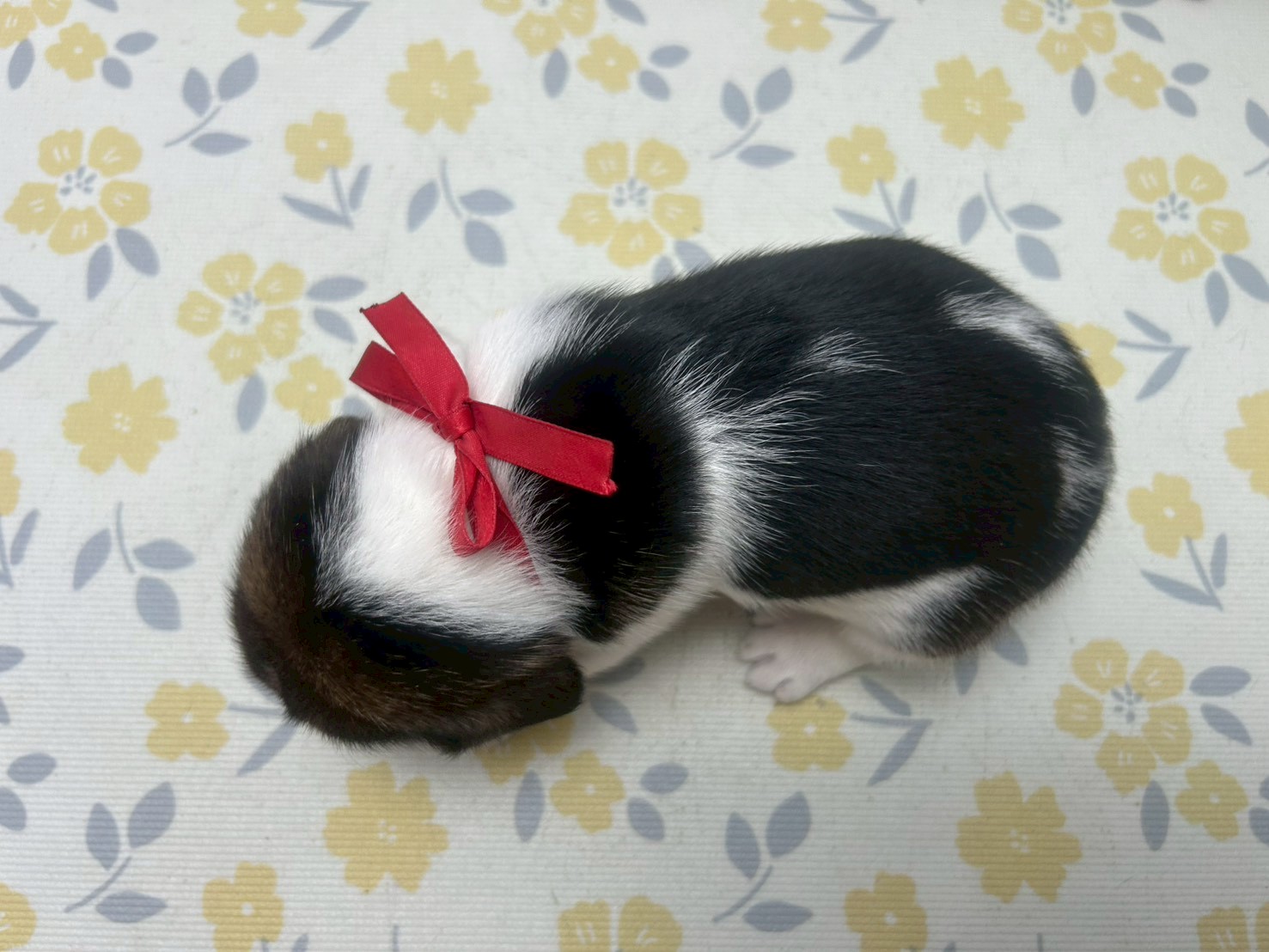 赤ちゃん写真2-3