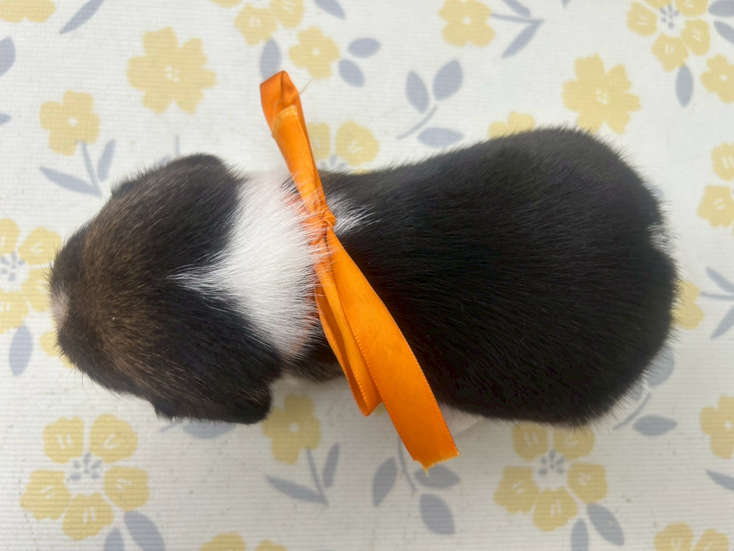 赤ちゃん写真2-3