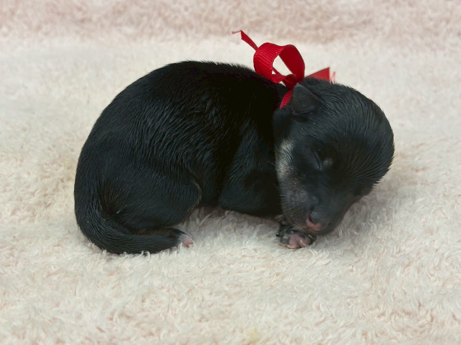 赤ちゃん写真1-2