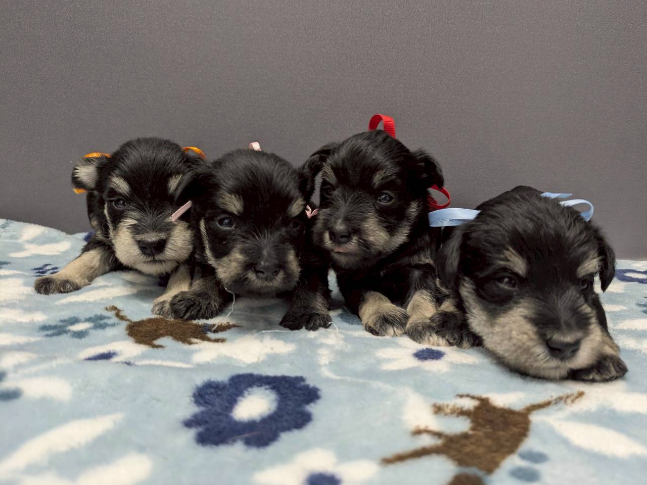 赤ちゃん写真2-3
