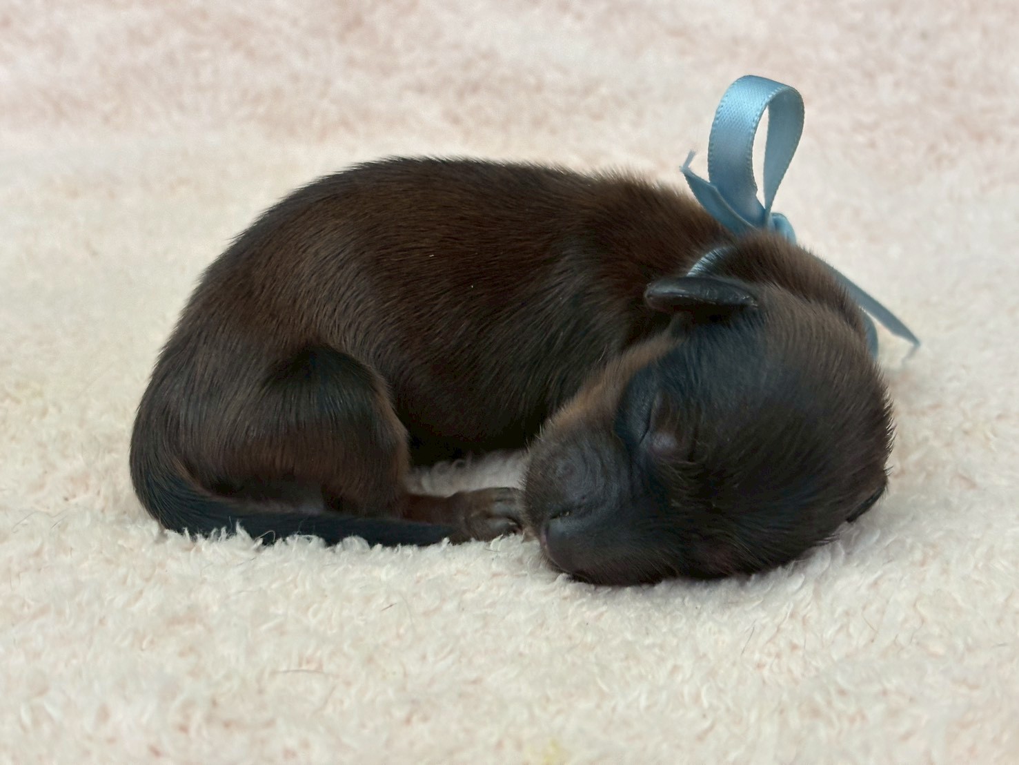 赤ちゃん写真1-2