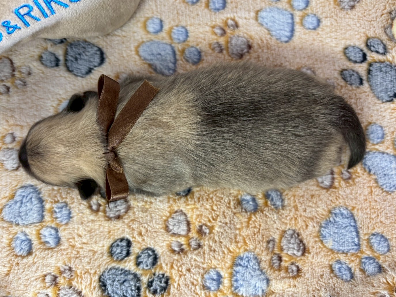 赤ちゃん写真1-3