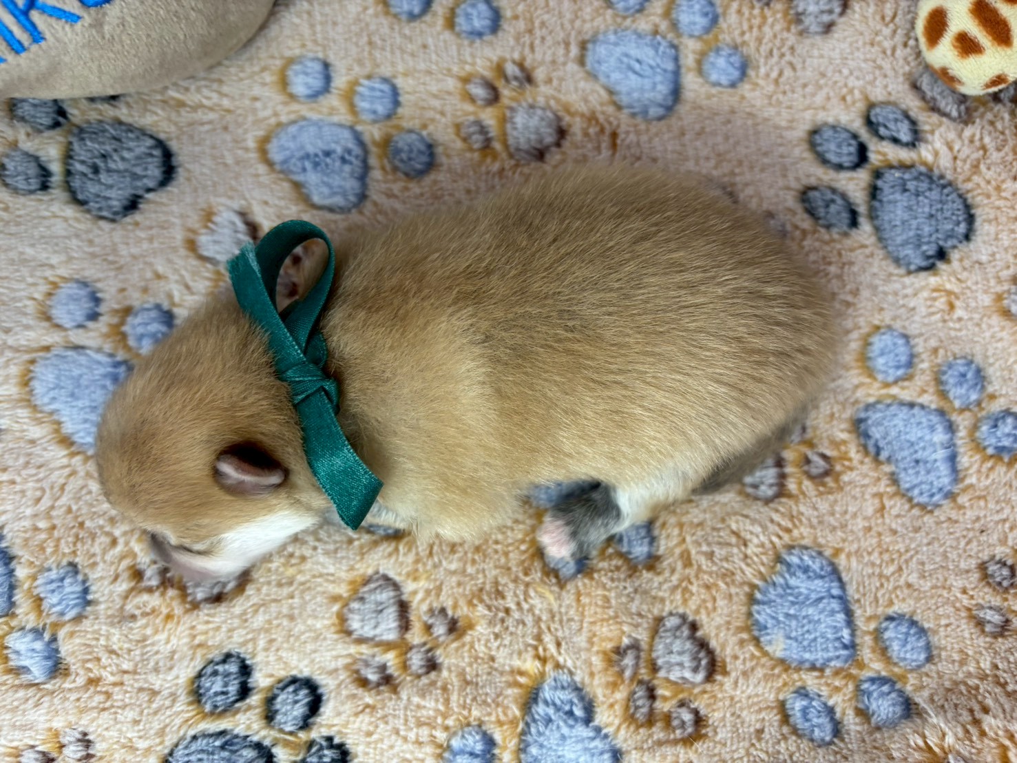 赤ちゃん写真1-3