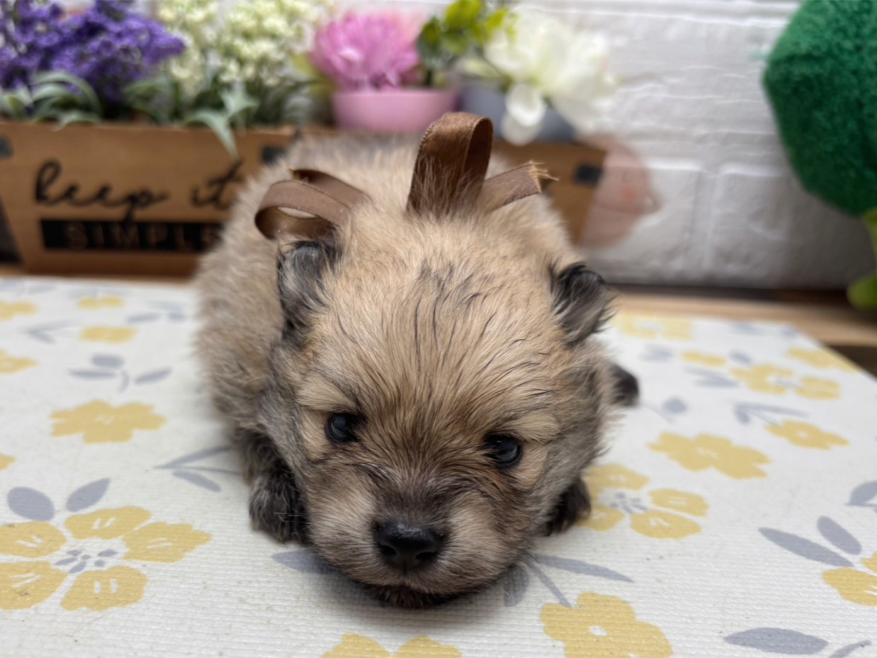 赤ちゃん写真2-1