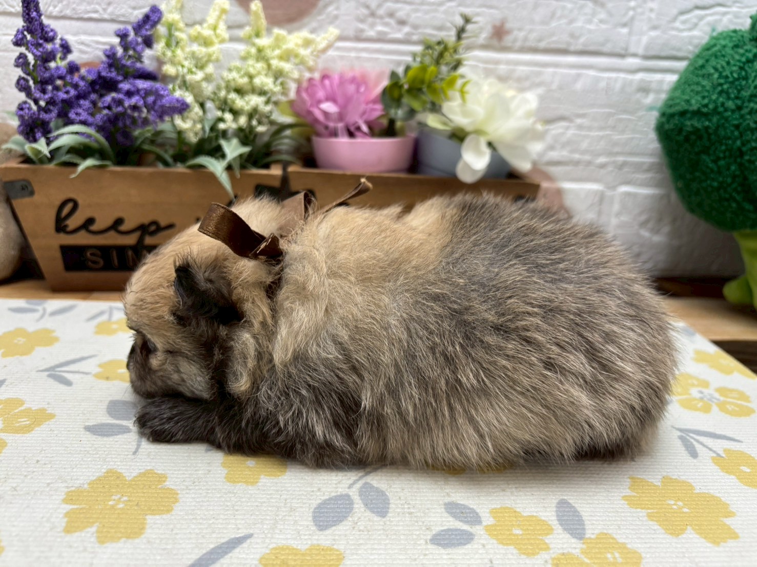 赤ちゃん写真2-2