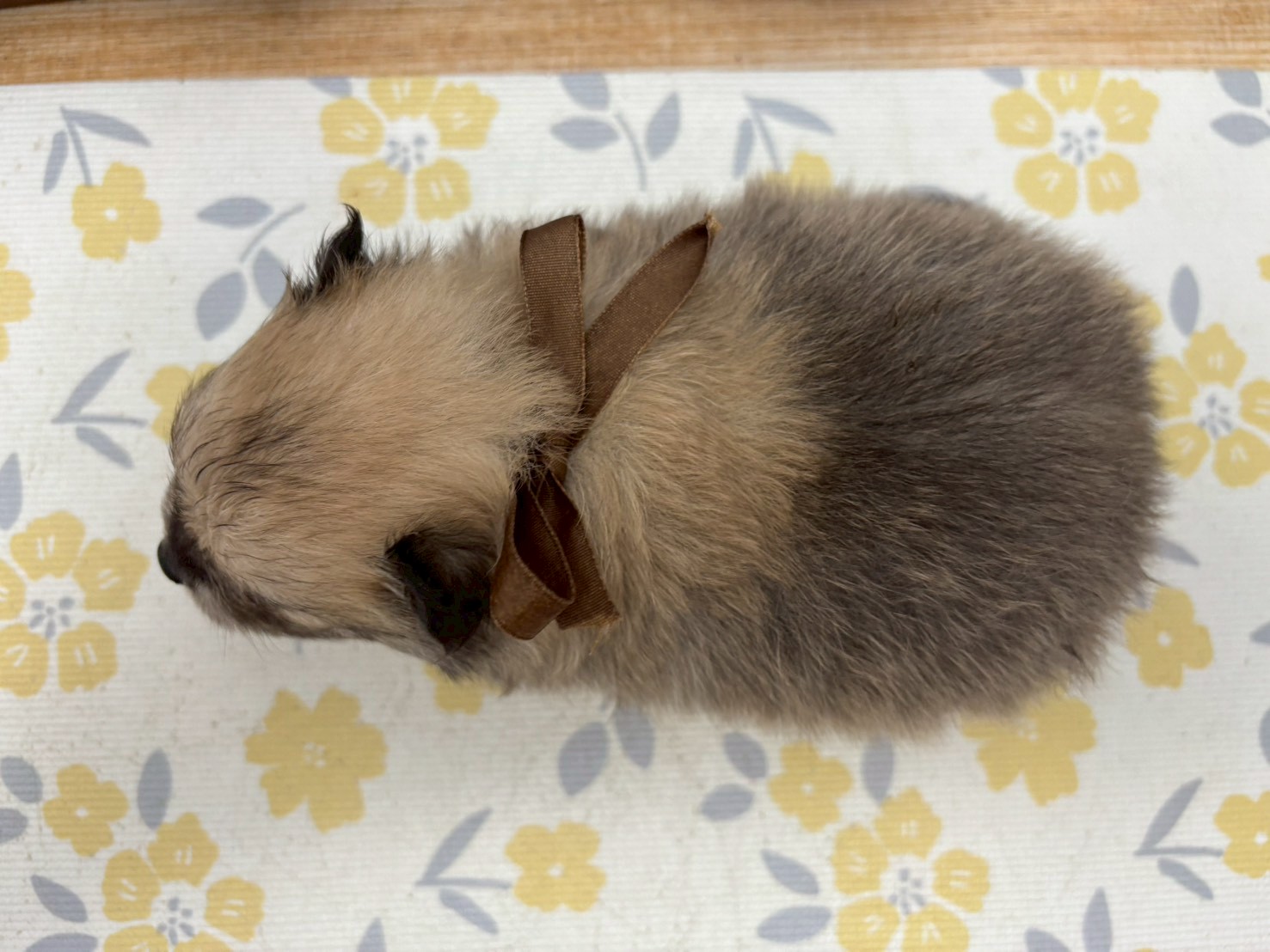 赤ちゃん写真2-3