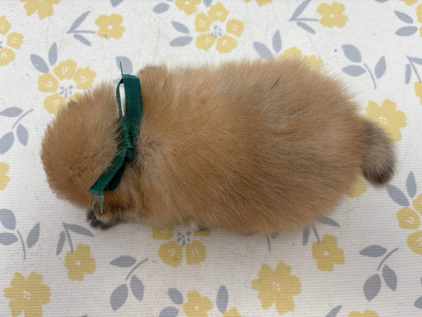 赤ちゃん写真2-3