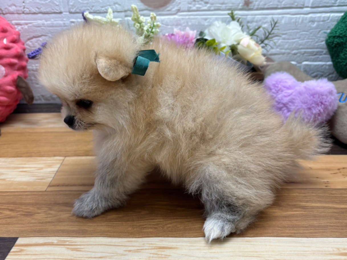 赤ちゃん写真3-2