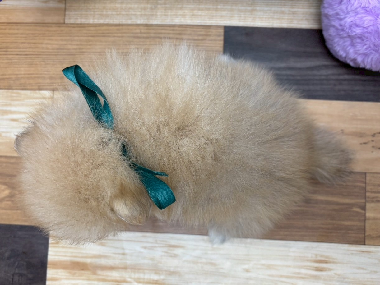 赤ちゃん写真3-3