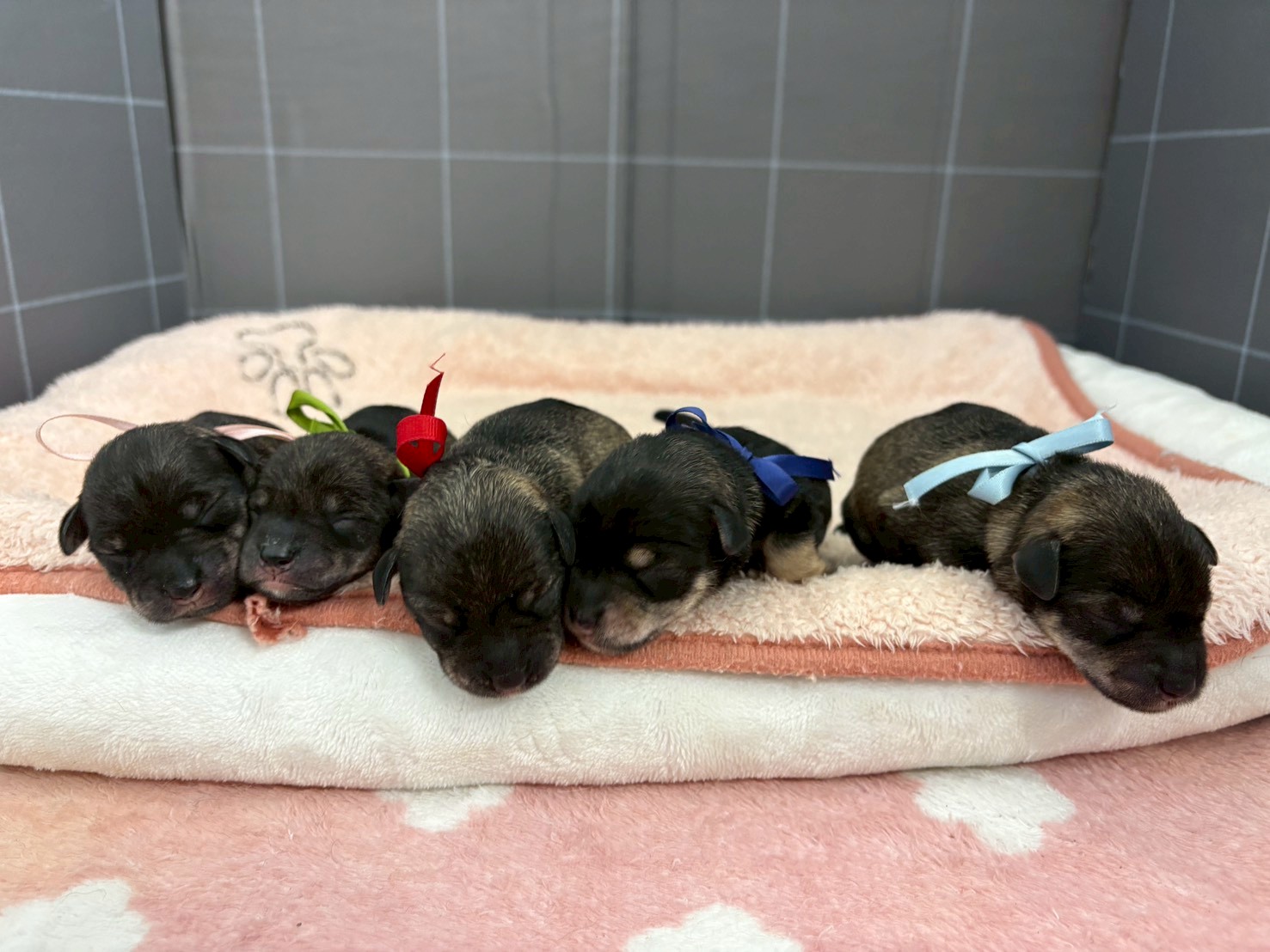 赤ちゃん写真1-3