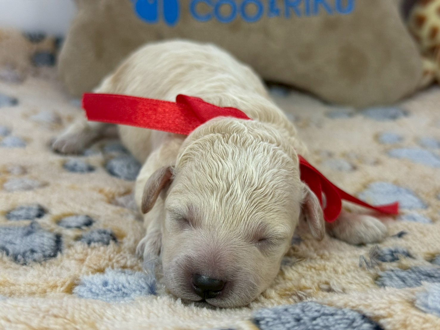 赤ちゃん写真1-1